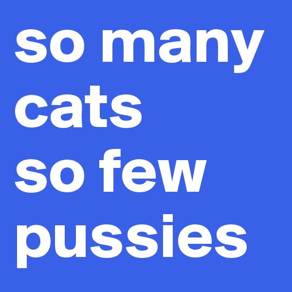 so many cats 
so few pussies