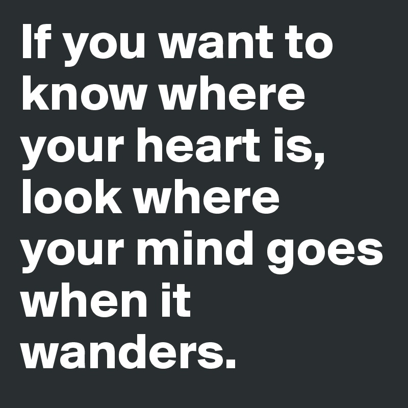 If you want to know where your heart is,
look where your mind goes when it wanders.