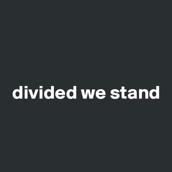 



 divided we stand



