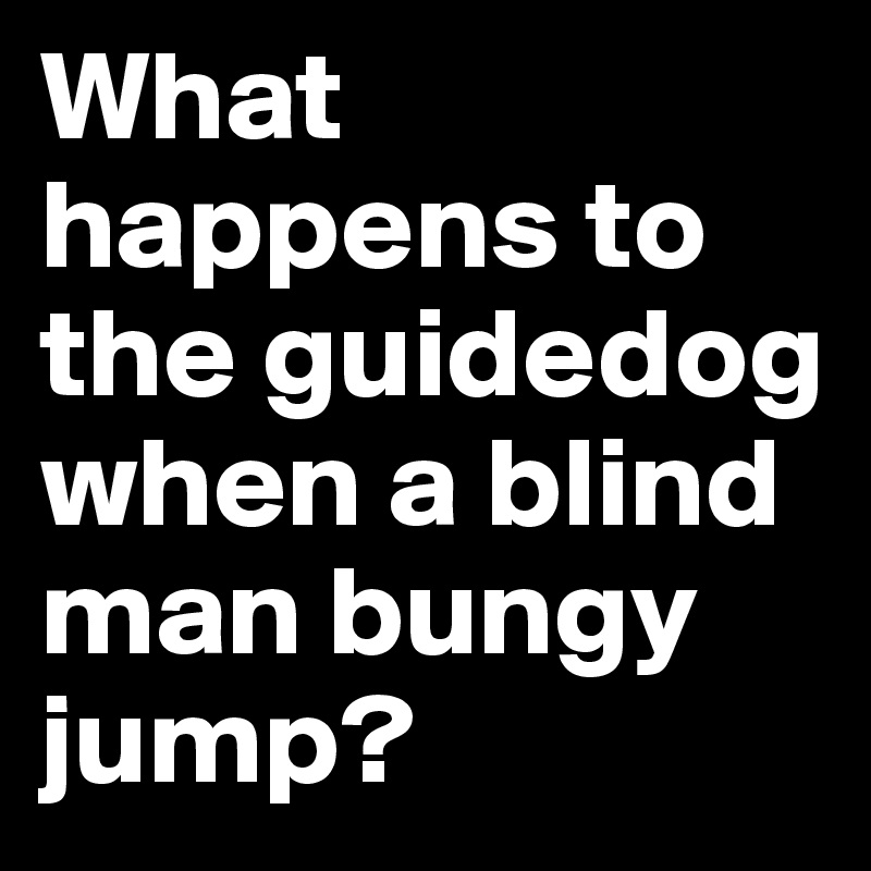 What happens to the guidedog when a blind man bungy jump?