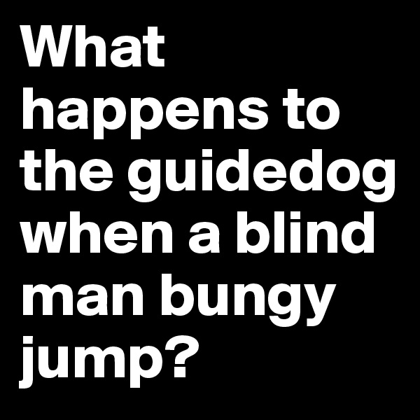 What happens to the guidedog when a blind man bungy jump?