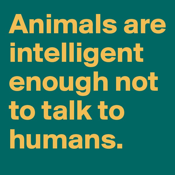Animals are intelligent enough not to talk to humans.