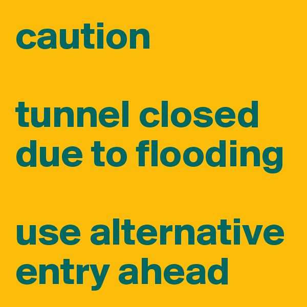 caution

tunnel closed due to flooding

use alternative
entry ahead