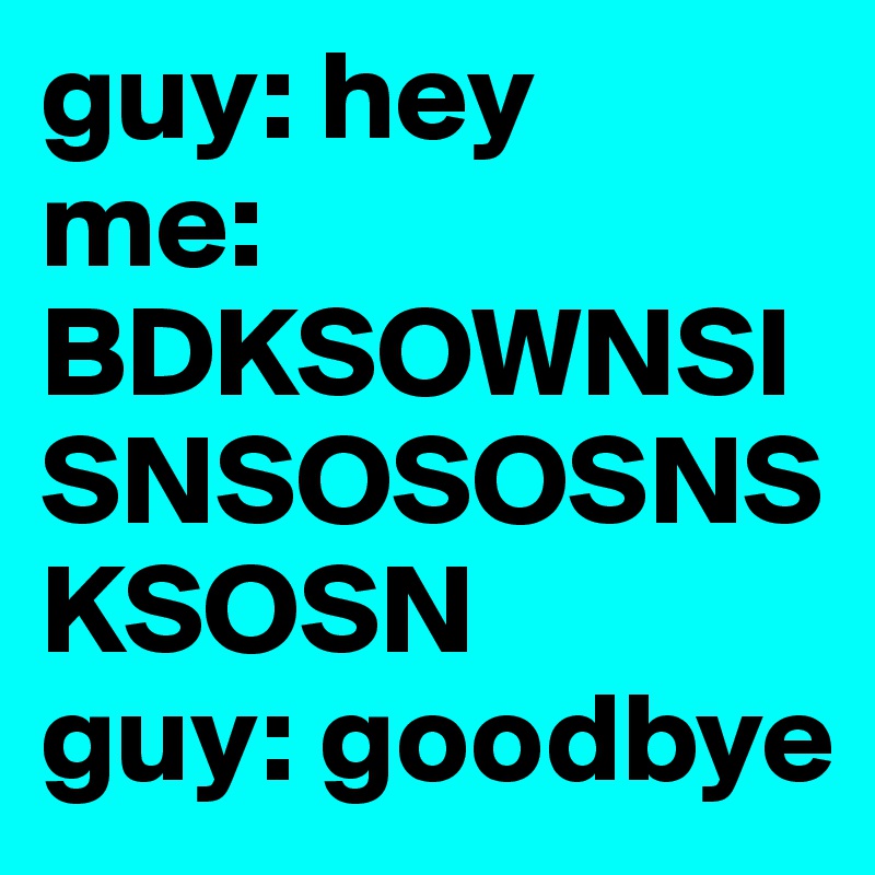 guy: hey
me: BDKSOWNSISNSOSOSNSKSOSN 
guy: goodbye