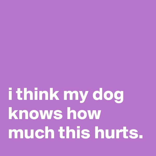 



i think my dog knows how much this hurts.