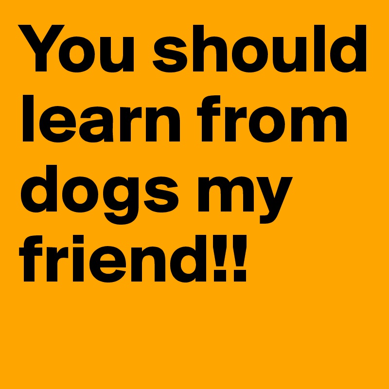 You should learn from dogs my friend!! 