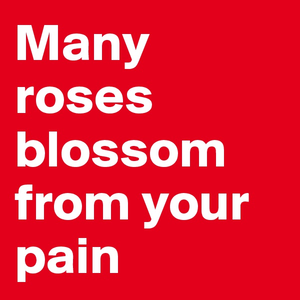 Many roses blossom from your pain