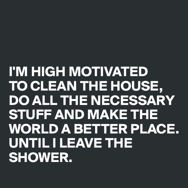 



I'M HIGH MOTIVATED  
TO CLEAN THE HOUSE, 
DO ALL THE NECESSARY STUFF AND MAKE THE WORLD A BETTER PLACE. 
UNTIL I LEAVE THE SHOWER.