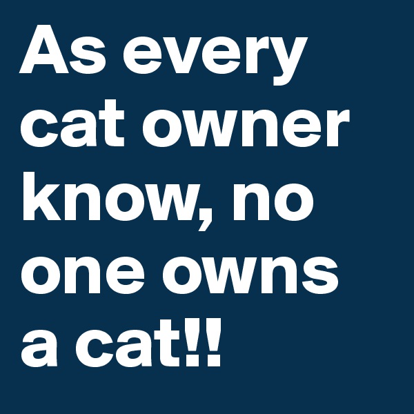 As every cat owner know, no one owns a cat!! 