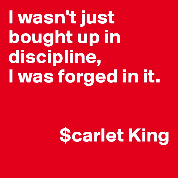 I wasn't just bought up in discipline,
I was forged in it. 


             $carlet King