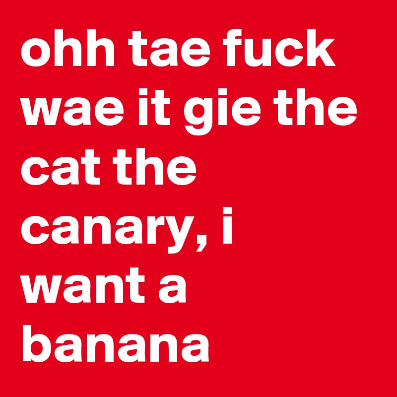 ohh tae fuck wae it gie the cat the canary, i want a banana 