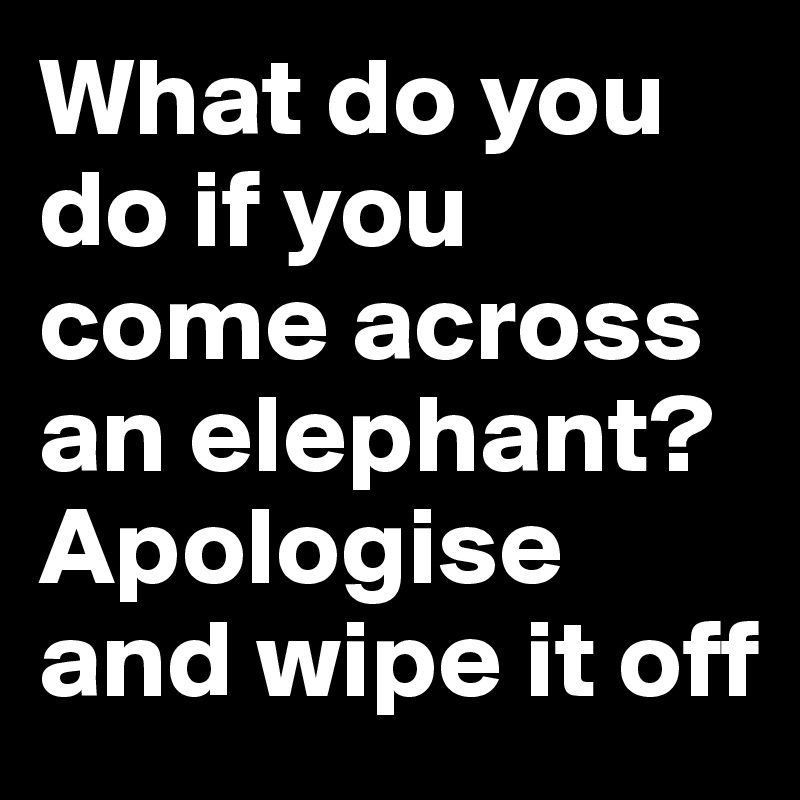 What do you do if you come across an elephant?
Apologise and wipe it off