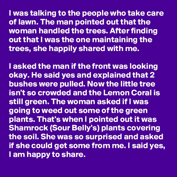 I was talking to the people who take care of lawn. The man pointed out that the woman handled the trees. After finding out that I was the one maintaining the trees, she happily shared with me.

I asked the man if the front was looking okay. He said yes and explained that 2 bushes were pulled. Now the little tree isn't so crowded and the Lemon Coral is still green. The woman asked if I was going to weed out some of the green plants. That's when I pointed out it was Shamrock (Sour Belly's) plants covering the soil. She was so surprised and asked if she could get some from me. I said yes, I am happy to share.