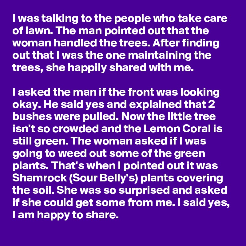 I was talking to the people who take care of lawn. The man pointed out that the woman handled the trees. After finding out that I was the one maintaining the trees, she happily shared with me.

I asked the man if the front was looking okay. He said yes and explained that 2 bushes were pulled. Now the little tree isn't so crowded and the Lemon Coral is still green. The woman asked if I was going to weed out some of the green plants. That's when I pointed out it was Shamrock (Sour Belly's) plants covering the soil. She was so surprised and asked if she could get some from me. I said yes, I am happy to share.