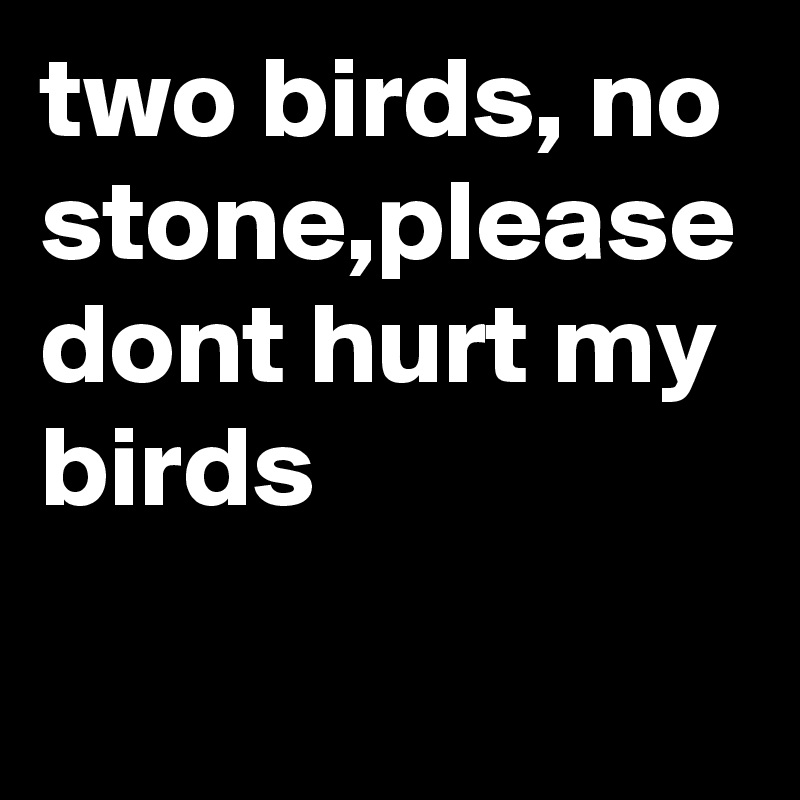 two birds, no stone,please dont hurt my birds