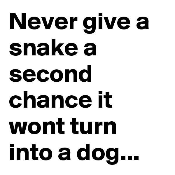 Never give a snake a second chance it wont turn into a dog...