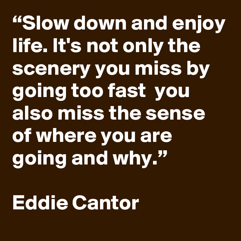 “Slow down and enjoy life. It's not only the scenery you miss by going too fast  you also miss the sense of where you are going and why.”

Eddie Cantor