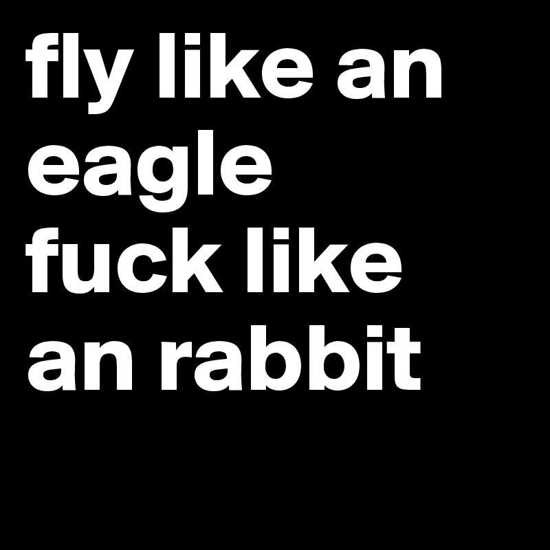 fly like an eagle 
fuck like an rabbit
