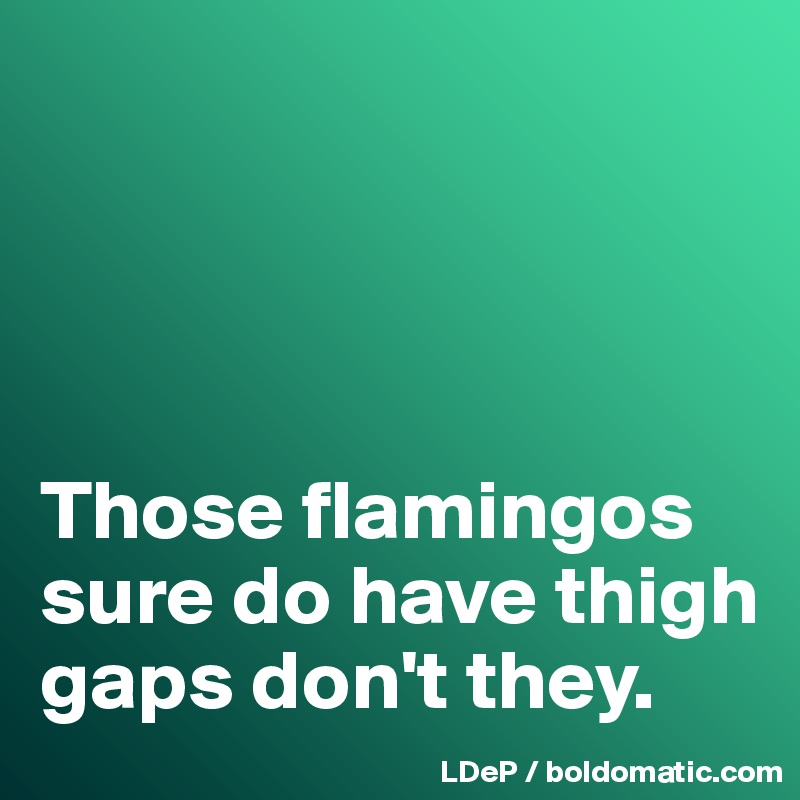 




Those flamingos sure do have thigh gaps don't they. 