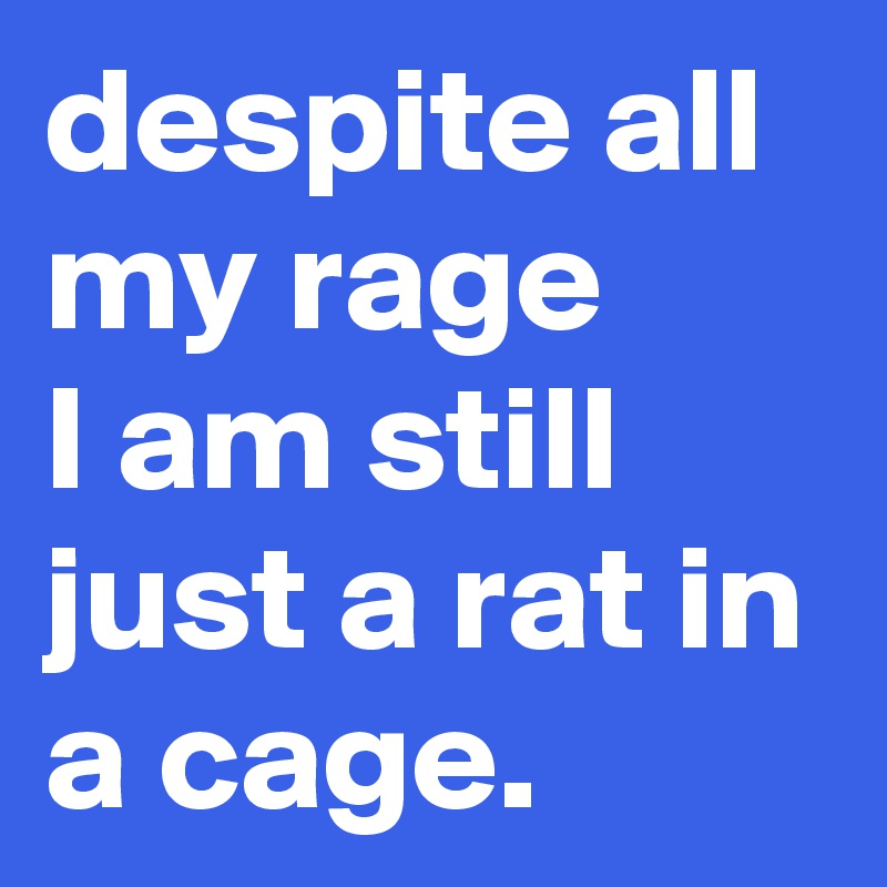 despite all my rage 
I am still just a rat in a cage. 