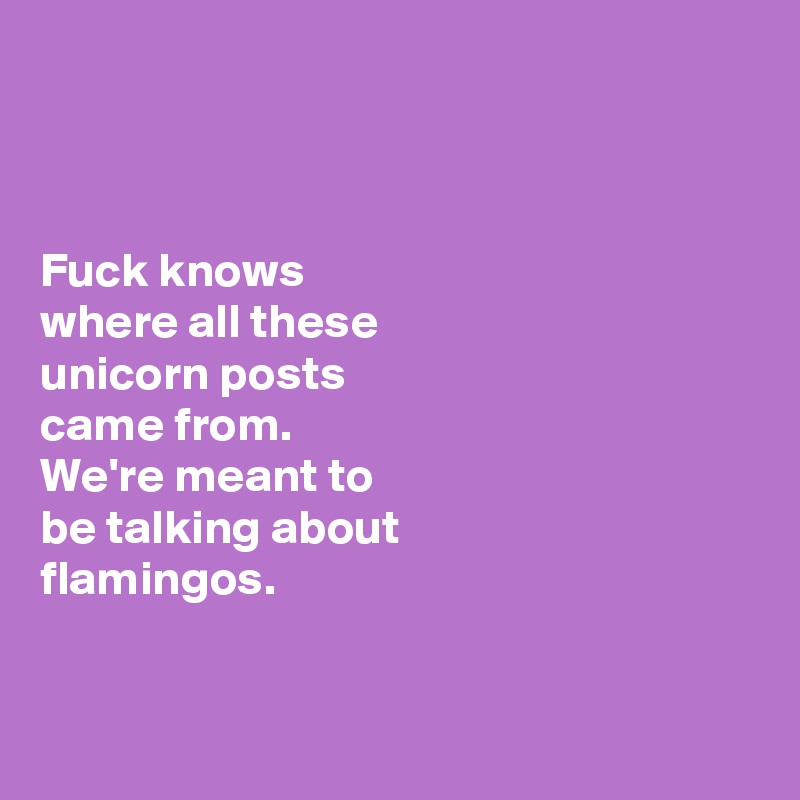 



Fuck knows 
where all these 
unicorn posts 
came from. 
We're meant to 
be talking about 
flamingos. 


