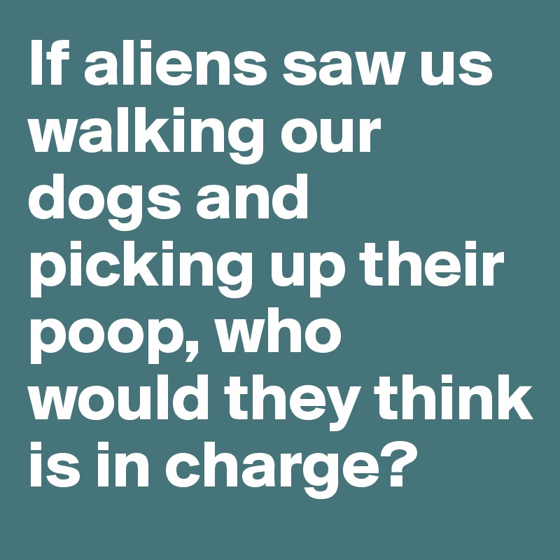 If aliens saw us walking our dogs and picking up their poop, who would they think is in charge?
