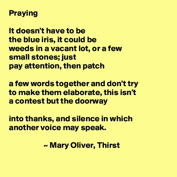 Praying

It doesn't have to be 
the blue iris, it could be
weeds in a vacant lot, or a few
small stones; just
pay attention, then patch

a few words together and don't try
to make them elaborate, this isn't
a contest but the doorway

into thanks, and silence in which
another voice may speak.

                     ~ Mary Oliver, Thirst

