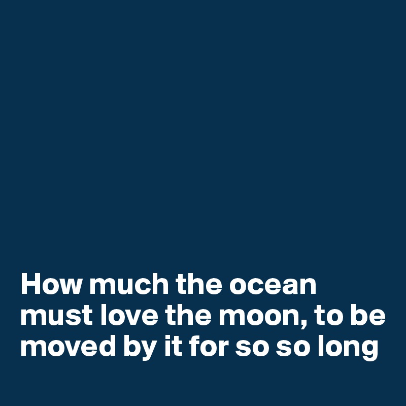 







How much the ocean must love the moon, to be moved by it for so so long