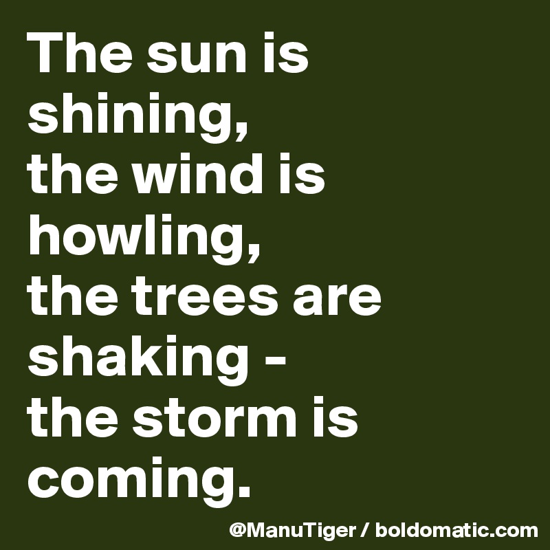 The sun is shining,
the wind is howling,
the trees are shaking -
the storm is coming. 