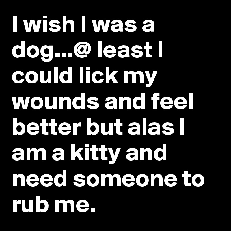 I wish I was a dog...@ least I could lick my wounds and feel better but alas I am a kitty and need someone to rub me.