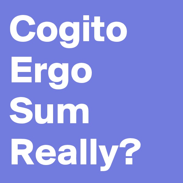 Cogito Ergo Sum 
Really? 