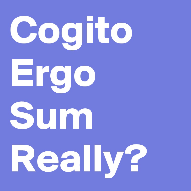 Cogito Ergo Sum 
Really? 
