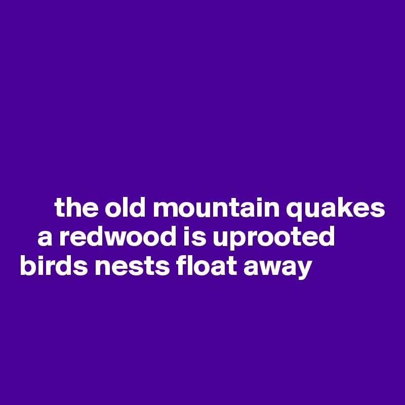 





      the old mountain quakes
   a redwood is uprooted
birds nests float away


