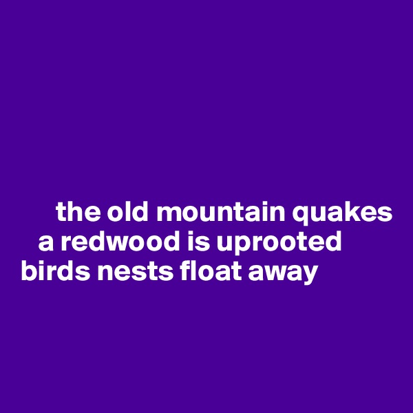 





      the old mountain quakes
   a redwood is uprooted
birds nests float away


