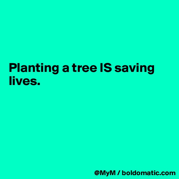 



Planting a tree IS saving lives. 





