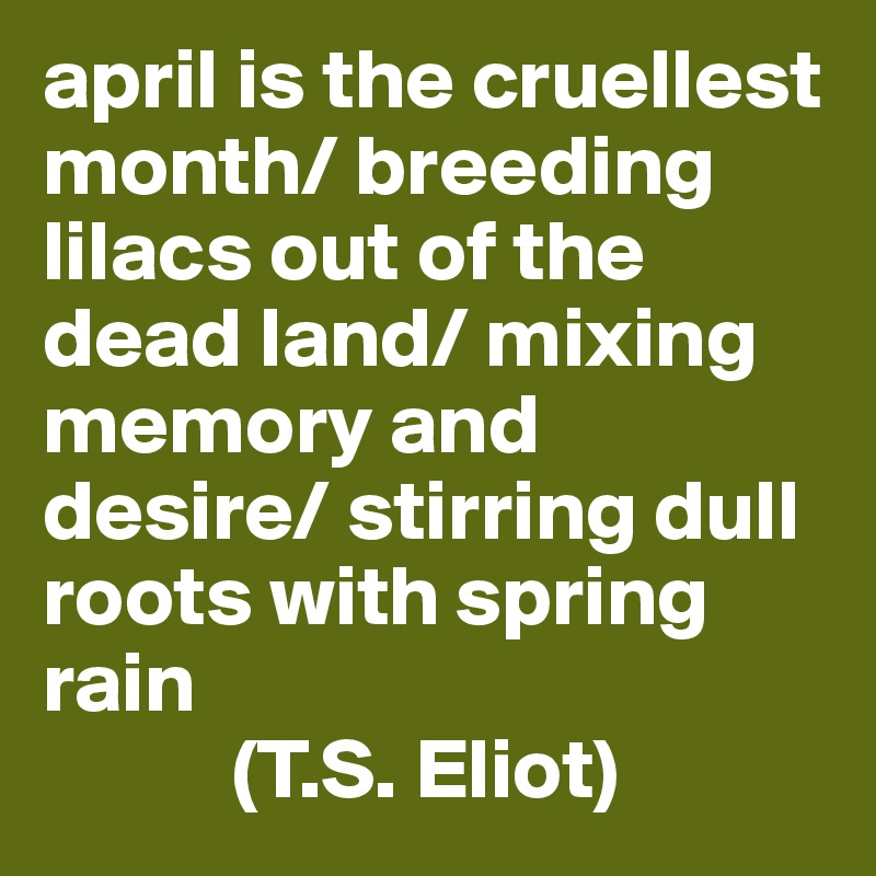 april is the cruellest month/ breeding lilacs out of the dead land/ mixing memory and desire/ stirring dull roots with spring rain 
           (T.S. Eliot)      