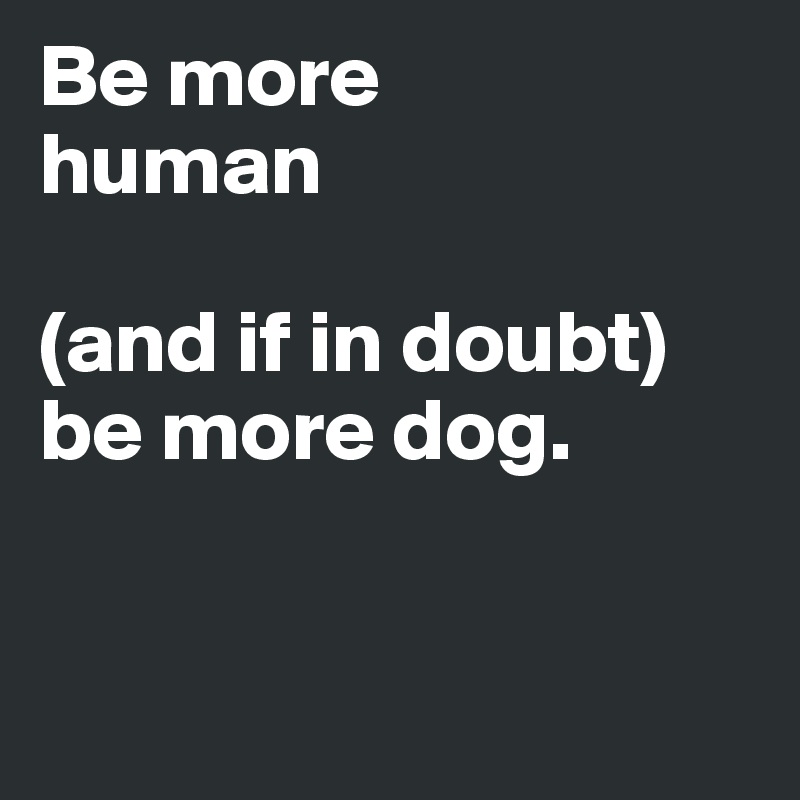 Be more 
human

(and if in doubt)
be more dog. 


