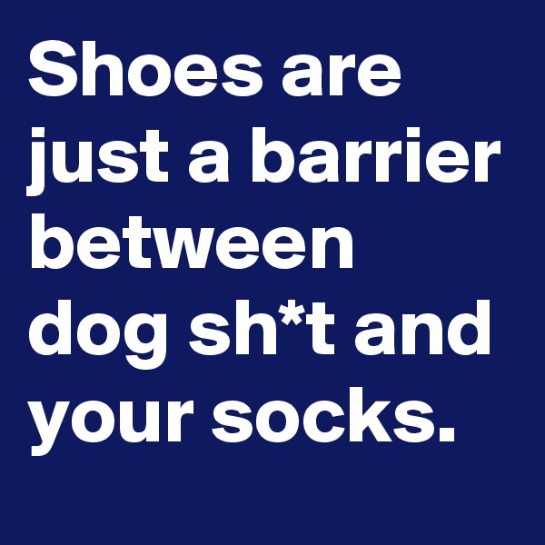 Shoes are just a barrier between dog sh*t and your socks.
