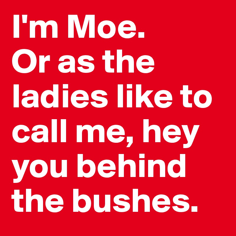 I'm Moe. 
Or as the ladies like to call me, hey you behind the bushes.