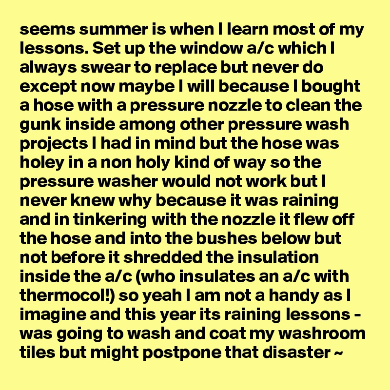 seems summer is when I learn most of my lessons. Set up the window a/c which I always swear to replace but never do except now maybe I will because I bought a hose with a pressure nozzle to clean the gunk inside among other pressure wash projects I had in mind but the hose was holey in a non holy kind of way so the pressure washer would not work but I never knew why because it was raining and in tinkering with the nozzle it flew off the hose and into the bushes below but not before it shredded the insulation inside the a/c (who insulates an a/c with thermocol!) so yeah I am not a handy as I imagine and this year its raining lessons - was going to wash and coat my washroom tiles but might postpone that disaster ~