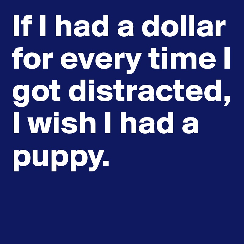 If I had a dollar for every time I got distracted, 
I wish I had a puppy.

