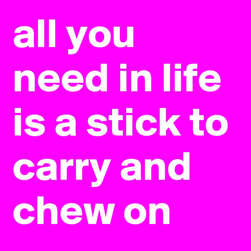 all you need in life is a stick to carry and chew on