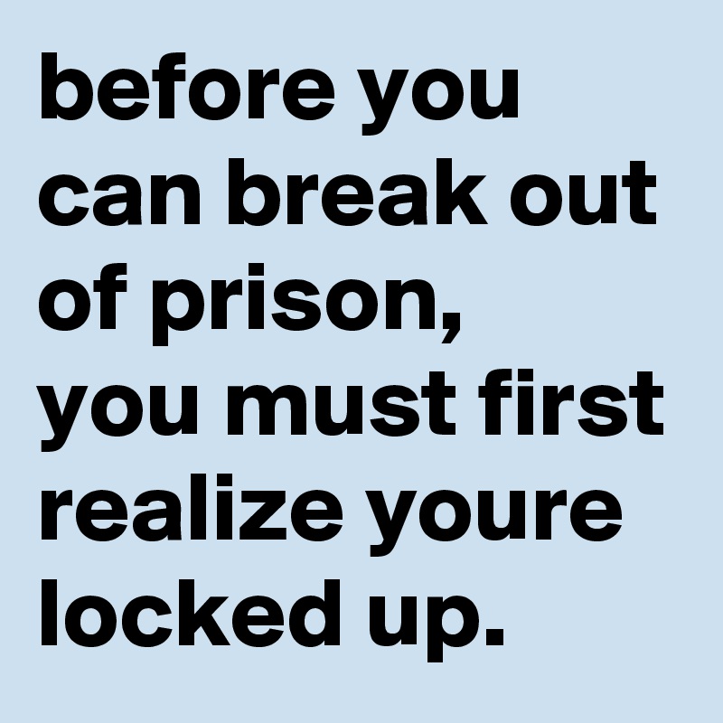before you can break out of prison,
you must first realize youre locked up.