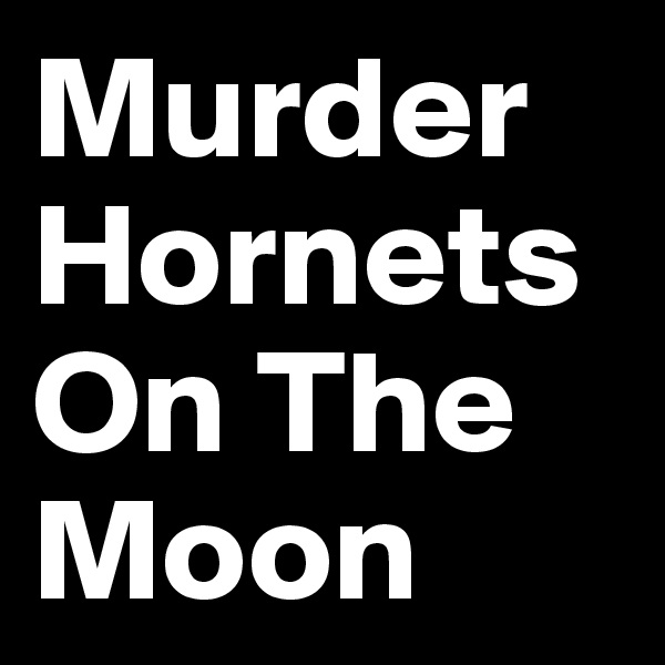 Murder Hornets
On The
Moon