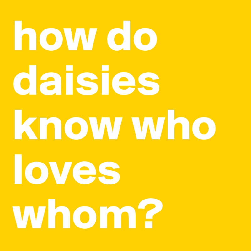how do daisies know who loves whom?