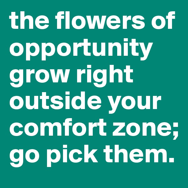 the flowers of opportunity grow right outside your comfort zone; go pick them. 