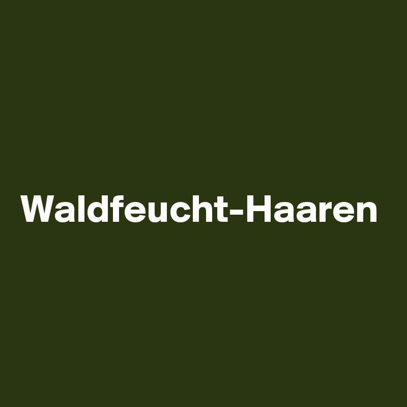 



Waldfeucht-Haaren
