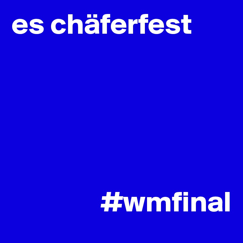 es chäferfest 





               #wmfinal