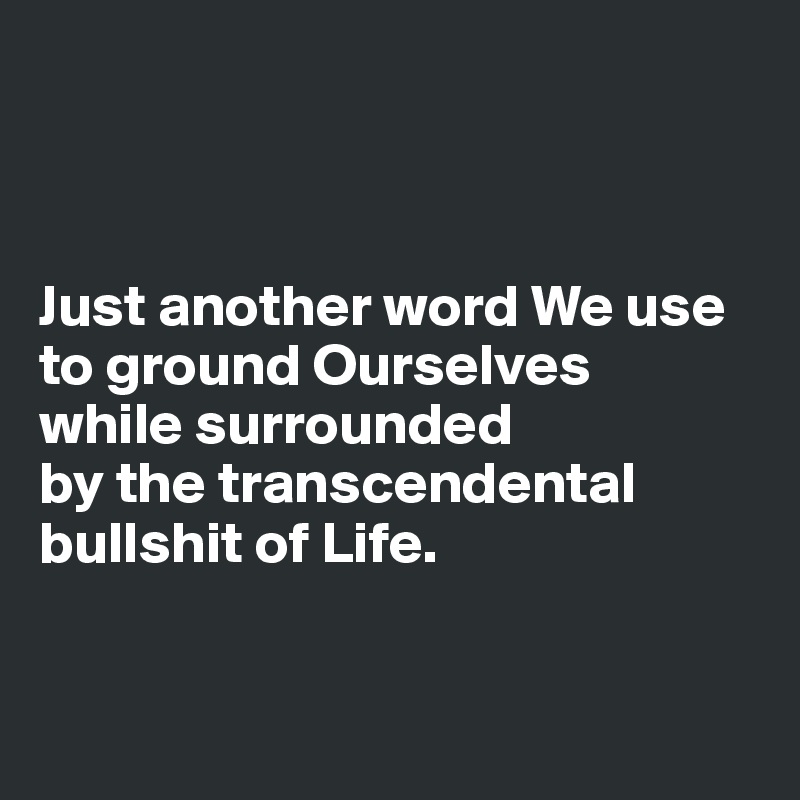 



Just another word We use to ground Ourselves 
while surrounded 
by the transcendental bullshit of Life.


