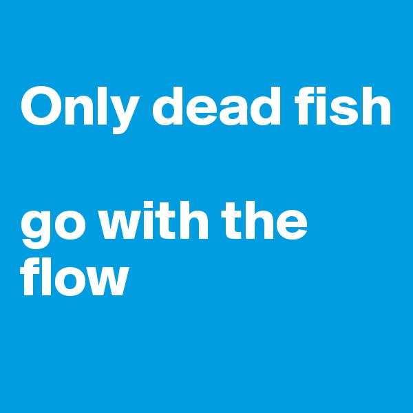 
Only dead fish 

go with the flow
